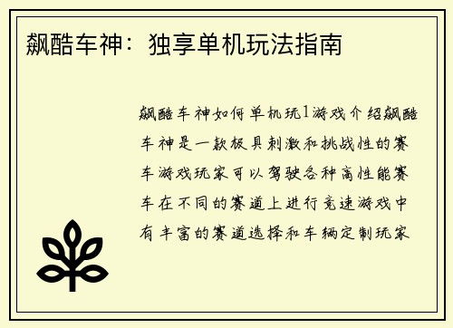 飙酷车神：独享单机玩法指南